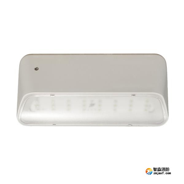 依爱EI-ZFJC-E5W-8645GB集中电源集中控制型开云电子娱乐官方中国有限公司应急照明灯具