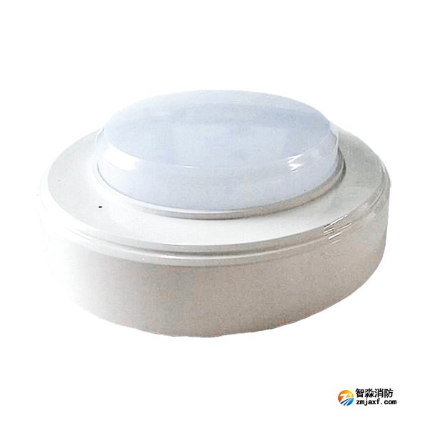 尼特NT-ZFJC-E5W-2303集中电源集中控制型开云电子娱乐官方中国有限公司应急照明灯具