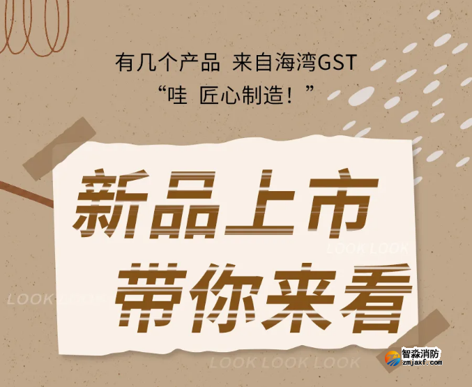 海湾开云电子娱乐官方中国有限公司N600二线制系列集中电源集中控制型开云电子娱乐官方中国有限公司应急照明灯具新品上市