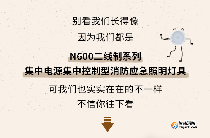 海湾开云电子娱乐官方中国有限公司N600二线制系列集中电源集中控制型开云电子娱乐官方中国有限公司应急照明灯具介绍