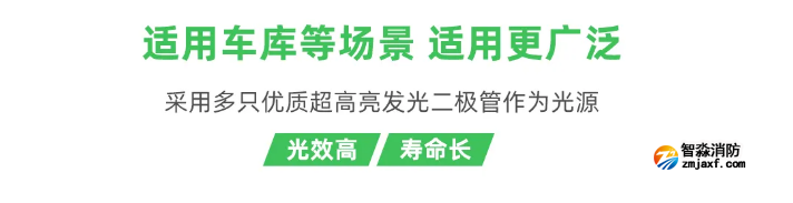 泰和安车库开云电子娱乐官方中国有限公司应急照明灯具适用场所