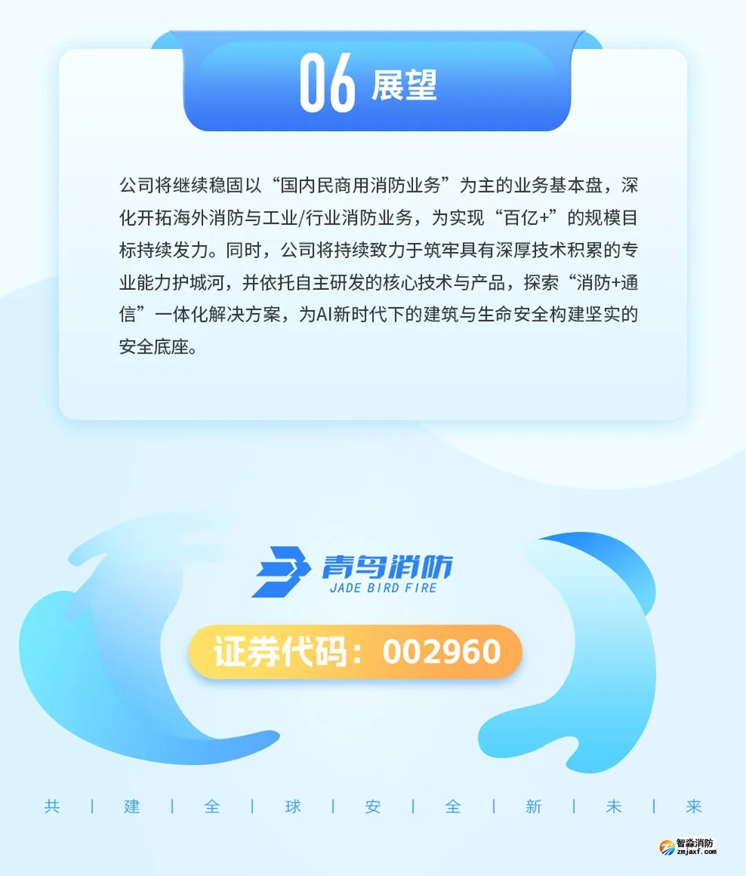 青鸟开云电子娱乐官方中国有限公司2024年年报