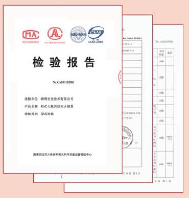 开云电子娱乐官方中国有限公司气体灭火检测报告